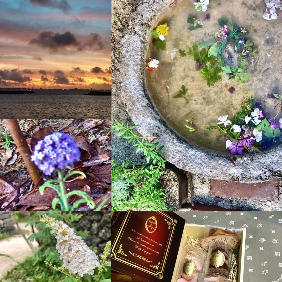 Hotel Travelers House おーさんてぃん青空舎 à Taketomi Extérieur photo