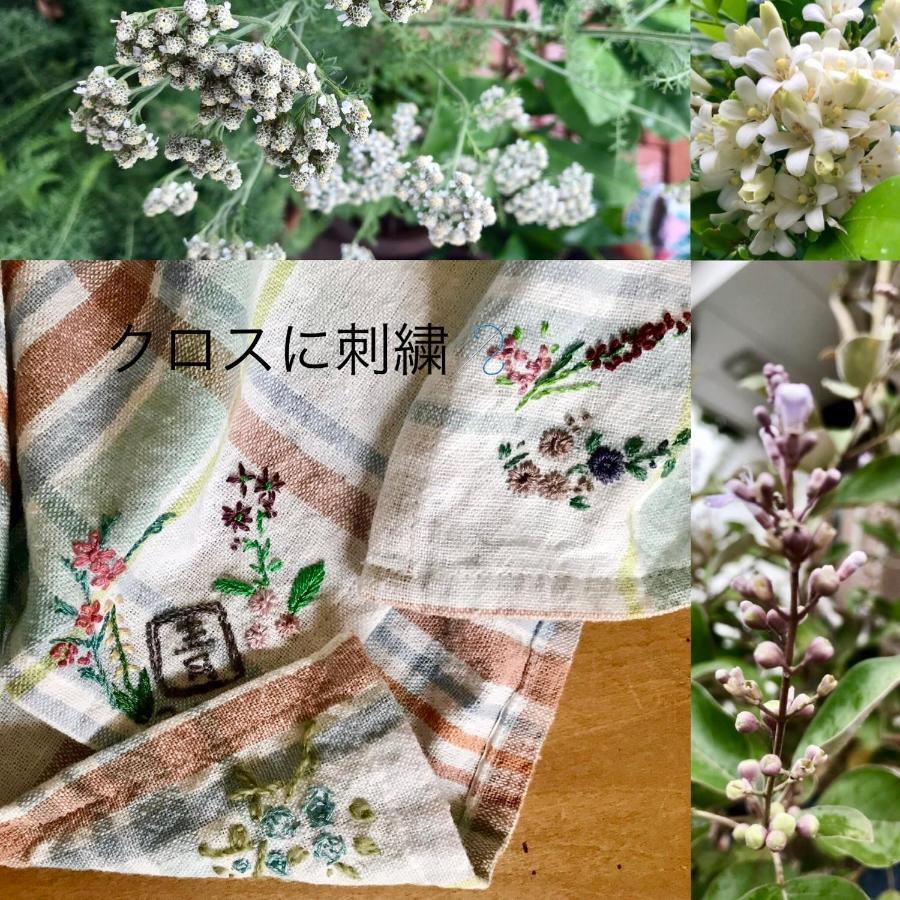 Hotel Travelers House おーさんてぃん青空舎 à Taketomi Extérieur photo