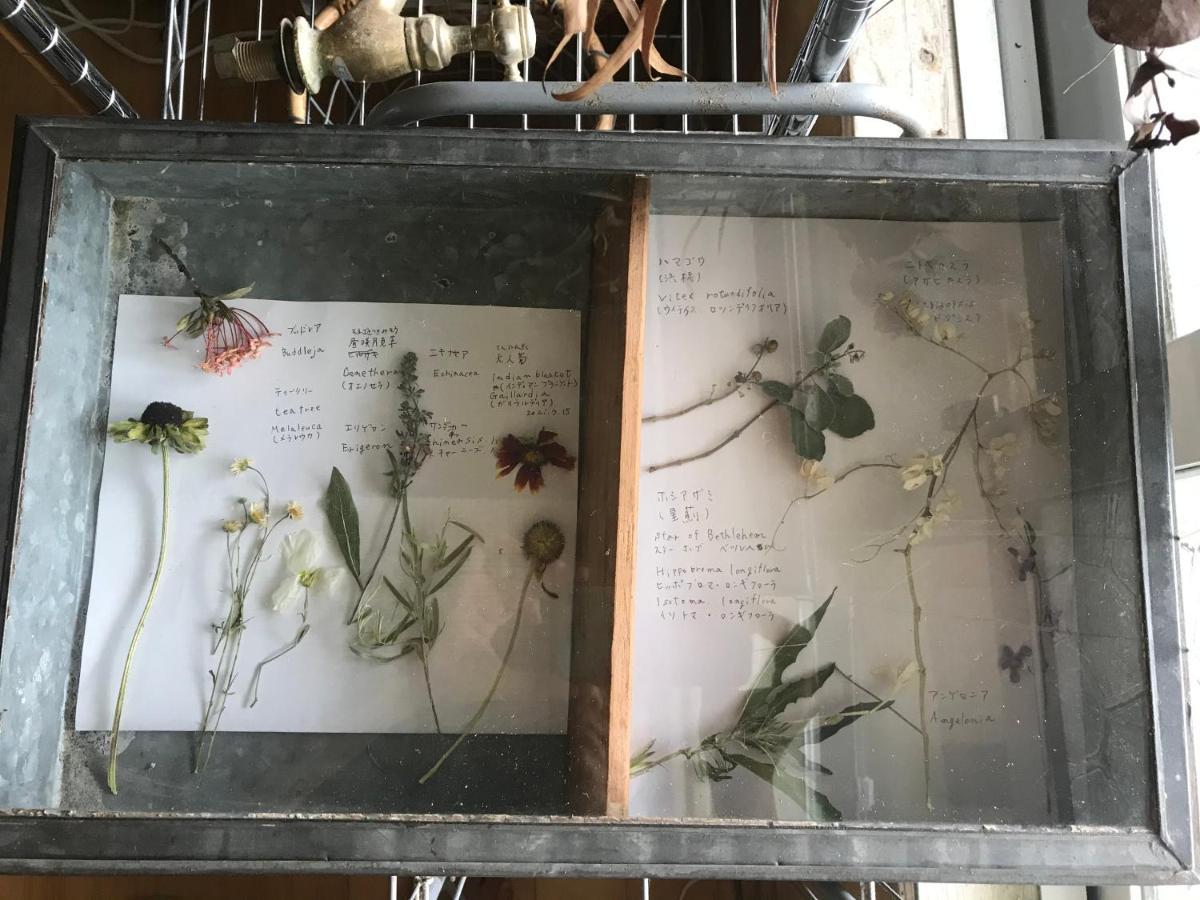 Hotel Travelers House おーさんてぃん青空舎 à Taketomi Extérieur photo