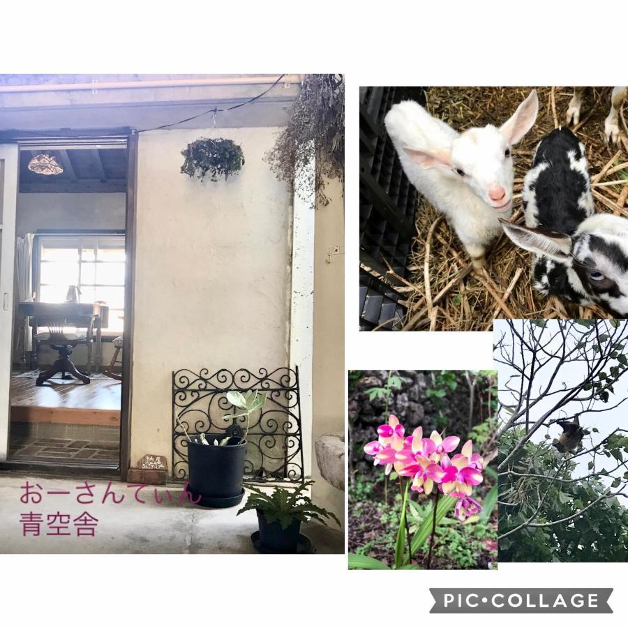 Hotel Travelers House おーさんてぃん青空舎 à Taketomi Extérieur photo