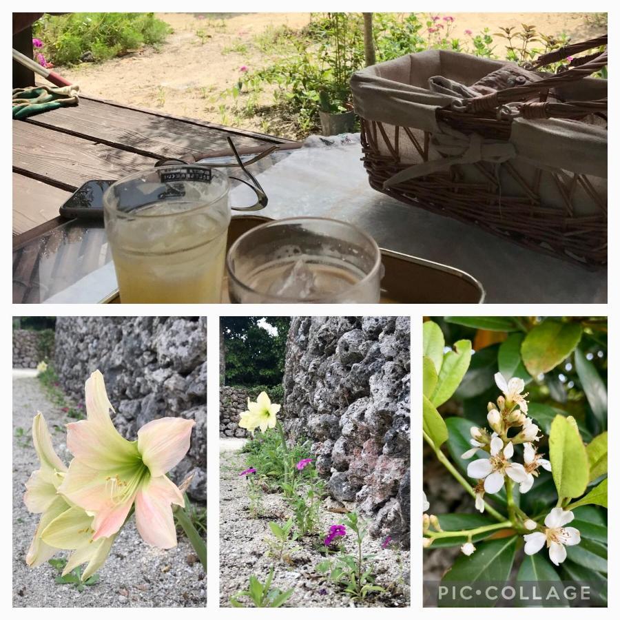 Hotel Travelers House おーさんてぃん青空舎 à Taketomi Extérieur photo